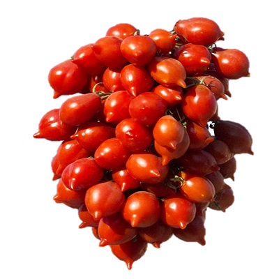 Piennolo pomodorino red rosso tomato kg1